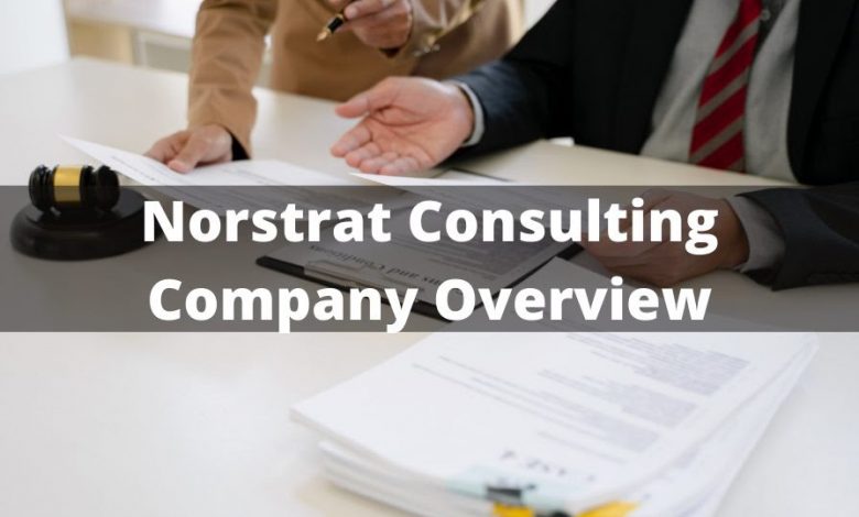 Meet the Steve Jobs of the Norstrat Consulting InCooperation Industry