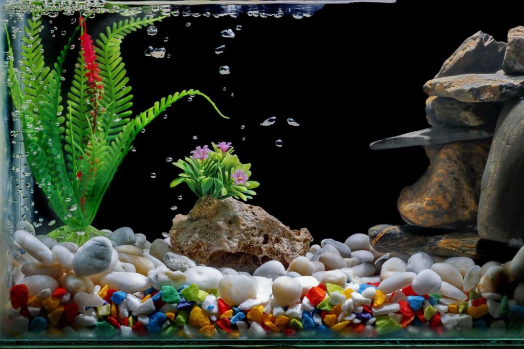 Best Decoration Rocks for Freshwater Aquariums